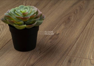 Kronopol Platinium Milo d3712 Орех Афина фото 2 | FLOORDEALER